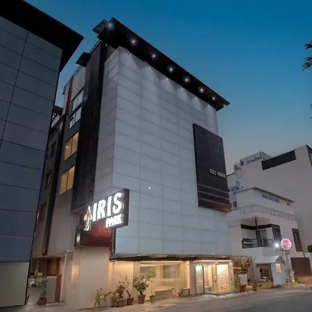 Iris Park Hotel New Delhi-3